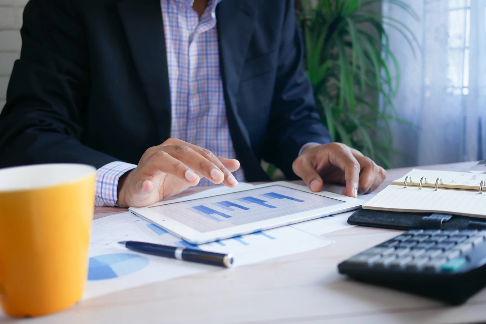 Audit & decision synthesis